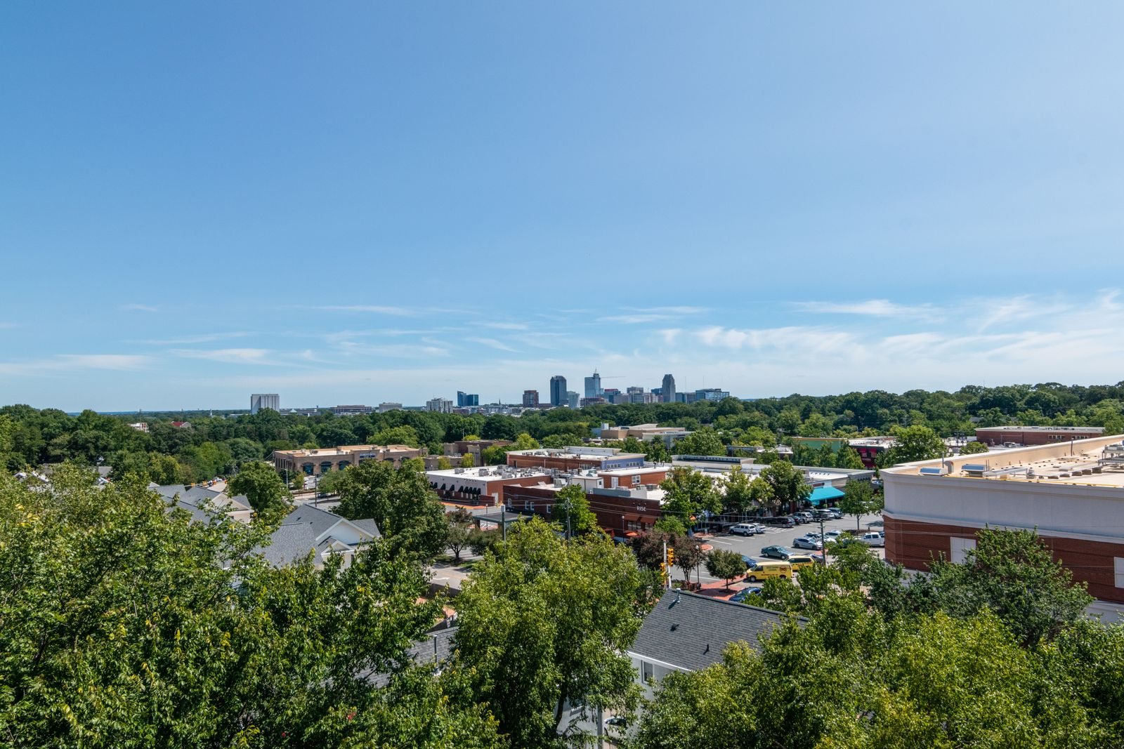 Raleigh skyline and green surroundings